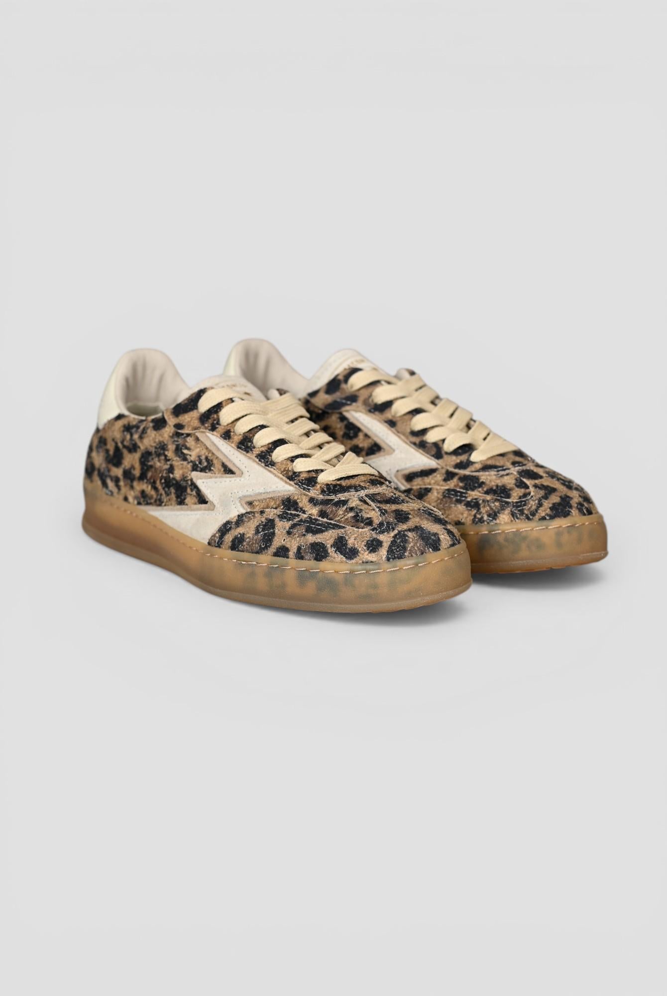 Sneakers CLUB DELUXE sand leopard CL071 LEOPARD MOACONCEPT