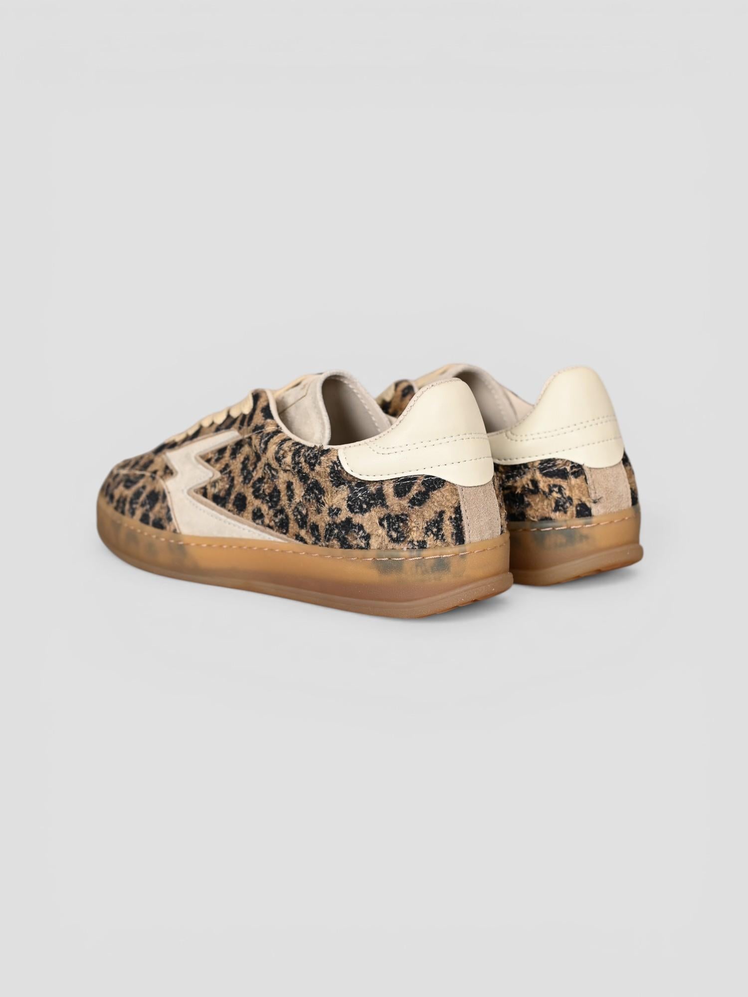 Sneakers CLUB DELUXE sand leopard CL071 LEOPARD MOACONCEPT