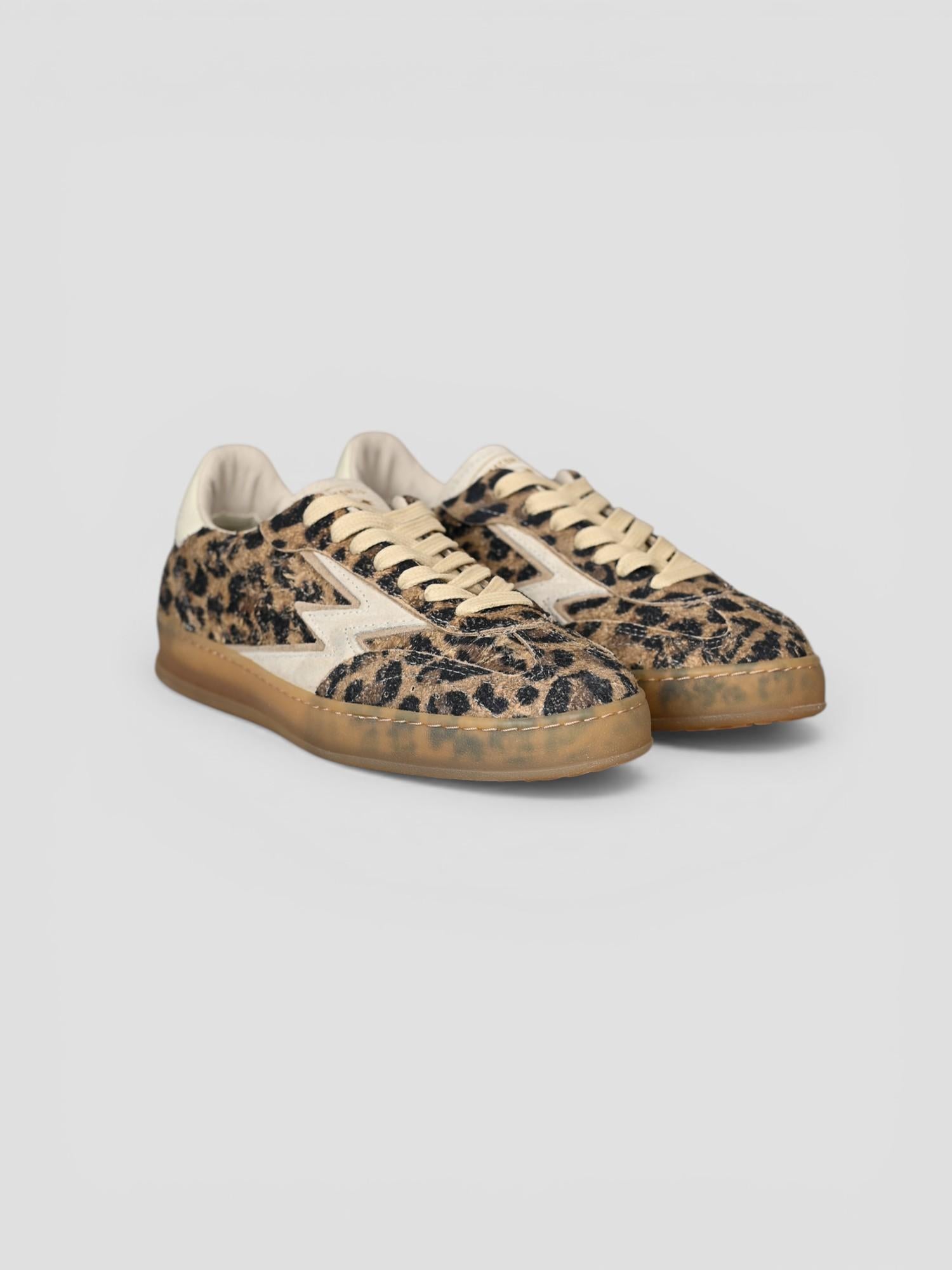 Sneakers CLUB DELUXE sand leopard CL071 LEOPARD MOACONCEPT 